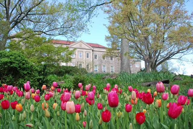 Cheekwood Botanical Gardens